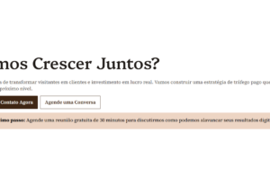 Eu vou fazer pra você o trafego pago da sua empresa.