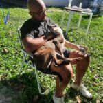 Eu vou Fazer sua divulgação em até 24hrs