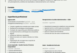 Eu vou montar seu currículo profissional
