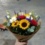 Eu vou fazer Edição de vídeo e imagem