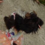 Eu vou fazer uma edição eficaz de vídeos e fotos.