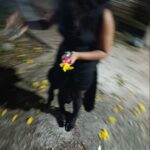 Eu vou legendar um video para você de 10 minutos