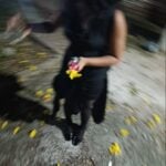 Eu vou legendar um video para você de 10 minutos