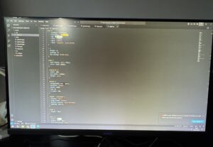 Eu vou desenvolver sites web, sou programador