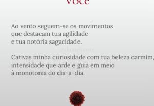 Eu vou escrever poemas personalizados para qualquer ocasião
