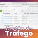 Eu vou ser Gestor de Tráfego Pago