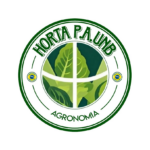 Eu vou criar uma logotipo para você em menos de 24 horas