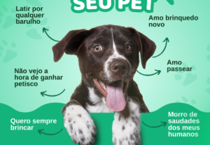 Eu vou criar artes para seu perfil