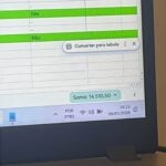 Eu vou fazer gestão de leads e planilhar seu fluxo de caixa.