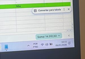 Eu vou fazer gestão de leads e planilhar seu fluxo de caixa.