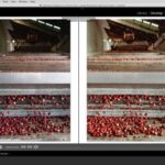 Eu vou editar vídeos para você