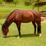 Eu vou Remover Pessoas ou Objetos da sua Foto