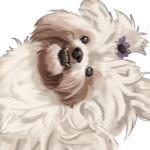 Eu vou desenhar seu animal de estimação para você