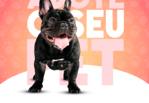 Eu vou fazer um flyer de divulgação