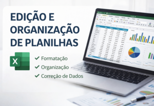 Eu vou organizar e editar sua planilha no Excel