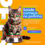 Eu vou Criar Artes Profissionais para seu Instagram e Facebo...