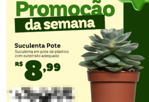 Eu vou Criar 3 posts para redes sociais prontos para publica...