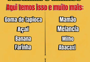 Eu vou Editar e criar artes, banners, e modelos de anúncio.