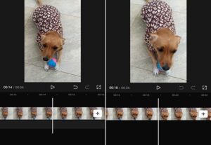 Eu vou editar seu video estilo reels, shorts e tiktok