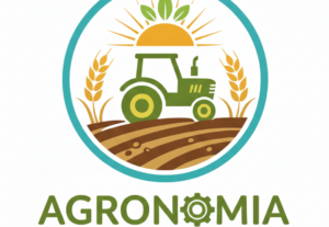 Eu vou criar logotipos para sua empresa