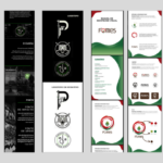 Eu vou resolver tudo, organização, design, dados, mkt digita...