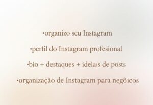 Eu vou Organizar perfil do Instagram para pequenos negócios
