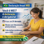 Eu vou fazer sua declaração anual do MEI