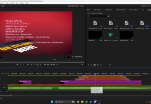 Eu vou editar vídeos do seu projeto.