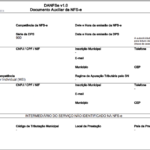 Eu vou fazer Lançamentos de NFs para você