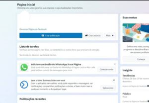 Eu vou Fazer a Configuração Básica Meta Business Profissiona...