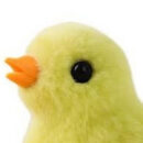 Foto do perfil do trabalhador freelancer