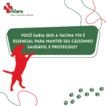 Eu vou criar um carrossel para Instagram