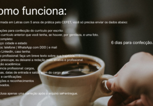 Eu vou formatar um currículo profissional para você