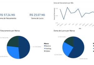 Eu vou criar um Dashboard profissional para o seu negócio