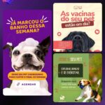 Eu vou criar 3 artes premium e minimalistas para o seu Insta