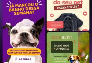 Eu vou criar 3 artes premium e minimalistas para o seu Insta