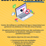 Eu vou fornecer serviços como Gestora de tráfego.
