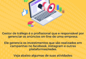 Eu vou fornecer serviços como Gestora de tráfego.