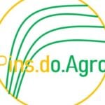 Eu vou criar a logo e a identidade visual da sua ideia