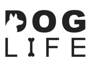 Eu vou Modernizar e Atualizar Seu Logotipo
