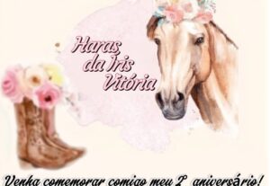 Eu vou fazer convites de qualquer tipo de festas e eventos.