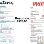 Eu vou fazer o resumo das matérias que precisa