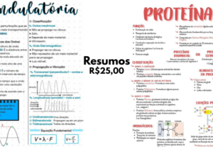 Eu vou fazer o resumo das matérias que precisa