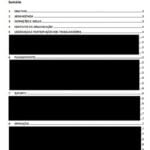 Eu vou fazer Revisão de Procedimento ISO 9001, 14001 ou 4500...