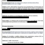 Eu vou fazer a Análise de Não Conformidade da Auditoria