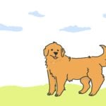 Eu vou Ilustrar o seu livro