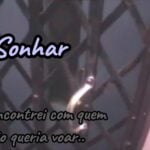 Eu vou editar seu vídeo no estilo que quiser