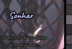 Eu vou editar seu vídeo no estilo que quiser