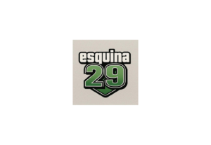 Eu vou Criar um logo simples e profissional para sua marca