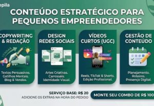 Eu vou fazer Tradução de textos, criar posts e vídeos.